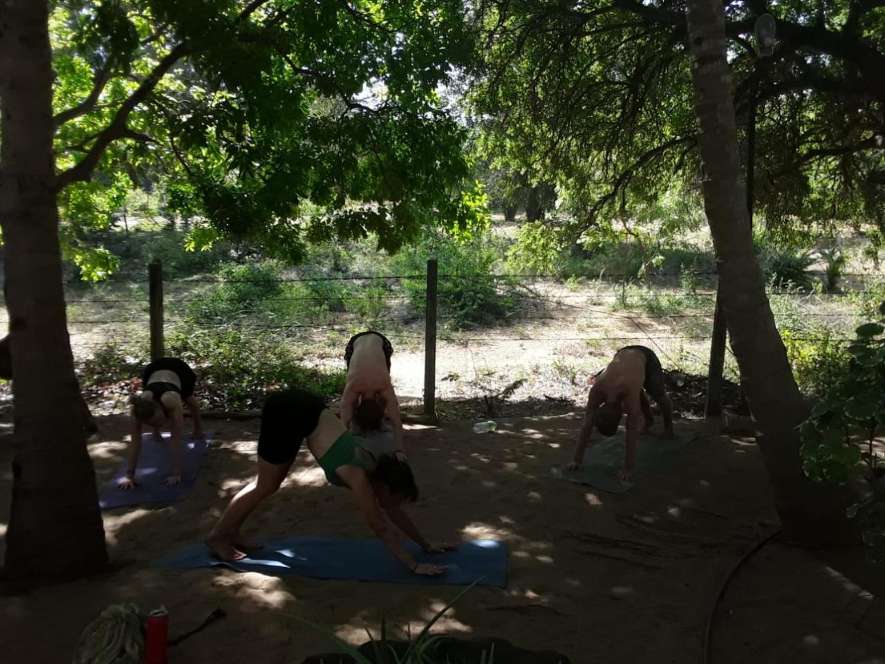 Hangover Hostels Arugam Bay Bagian luar foto